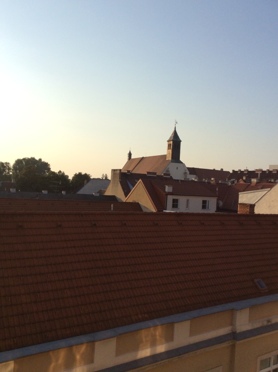 The rooftops in the evening.